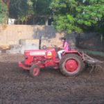 Suchitra S Rao ploughing Cow Grazing field @ an Animal Shelter