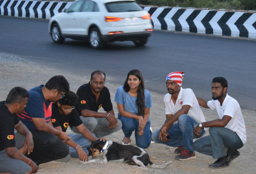 Suchitra S Rao advocating Magic Collars, a Campaign that will prevent Animals from roadkills